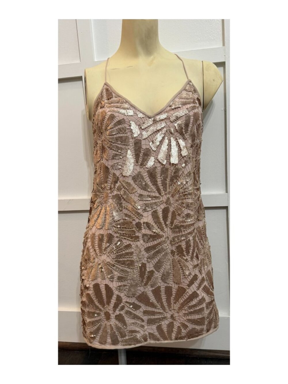 SAYLOR XS Blush Champagne Floral Sequin Mini Dress